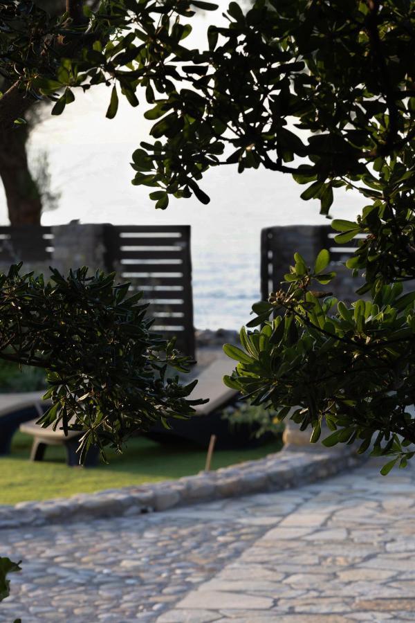 Villa Thalassa Stavromenos Beach Magnisía Extérieur photo